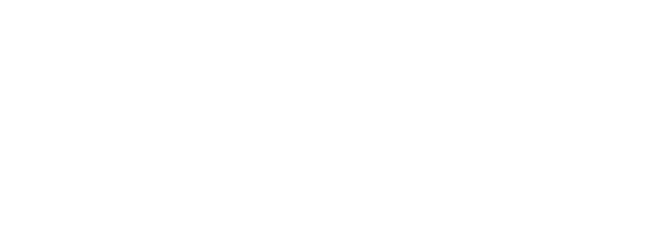 palmona logo - Trusted Zithara AI CRM customer for retail business