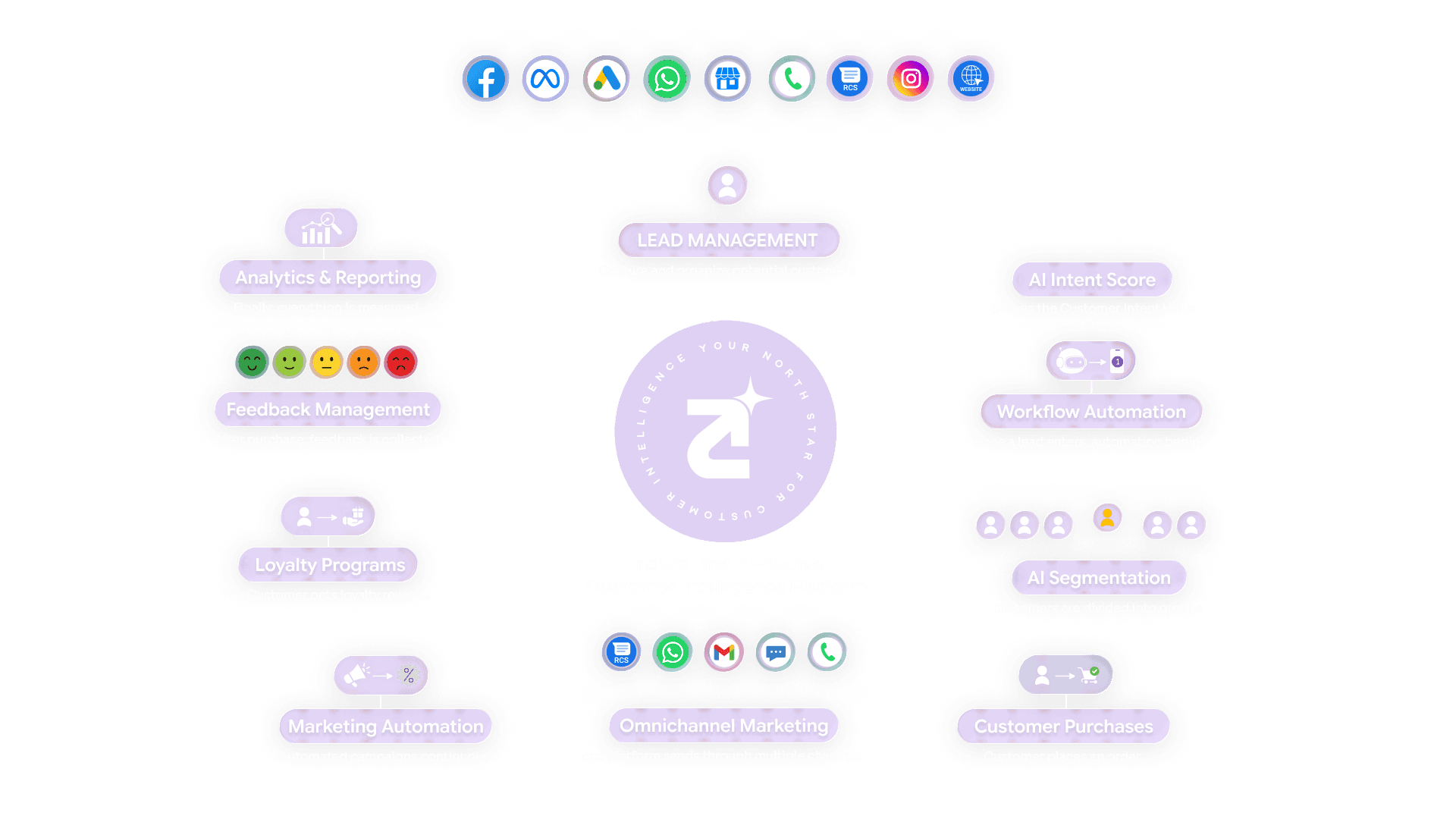 Zithara AI CRM platform dashboard
